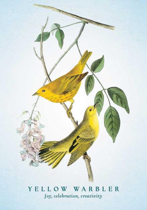 Simon & Schuster - Spiritual Meaning of Birds Oracle Deck by Arin Murphy-Hiscock: Flashcards; 50 pages, English
