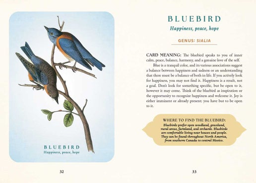 Simon & Schuster - Spiritual Meaning of Birds Oracle Deck by Arin Murphy-Hiscock: Flashcards; 50 pages, English