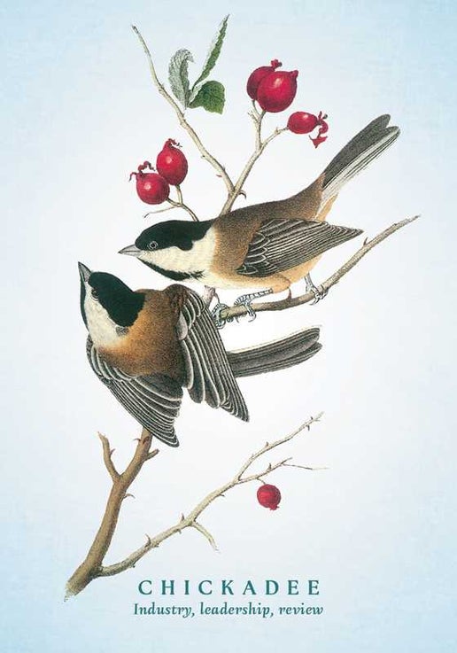 Simon & Schuster - Spiritual Meaning of Birds Oracle Deck by Arin Murphy-Hiscock: Flashcards; 50 pages, English