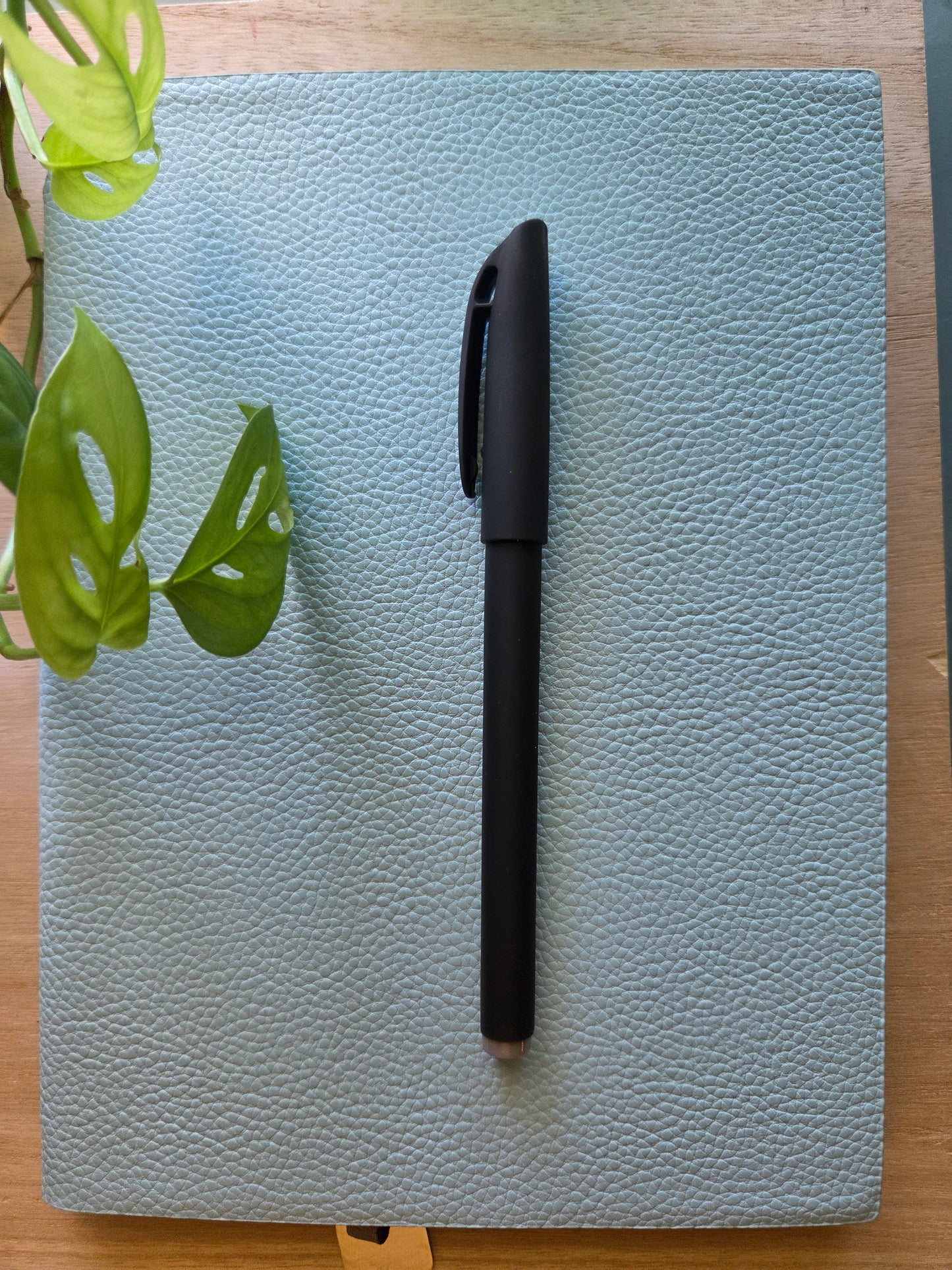 Undated Journal / Notebook and Ink Pen Set