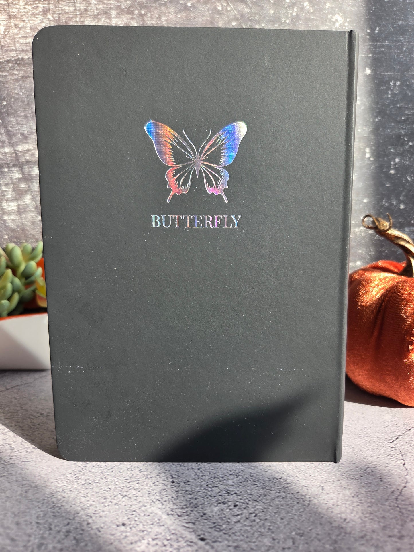 Iridescent Silver and Black Butterfly Journal
