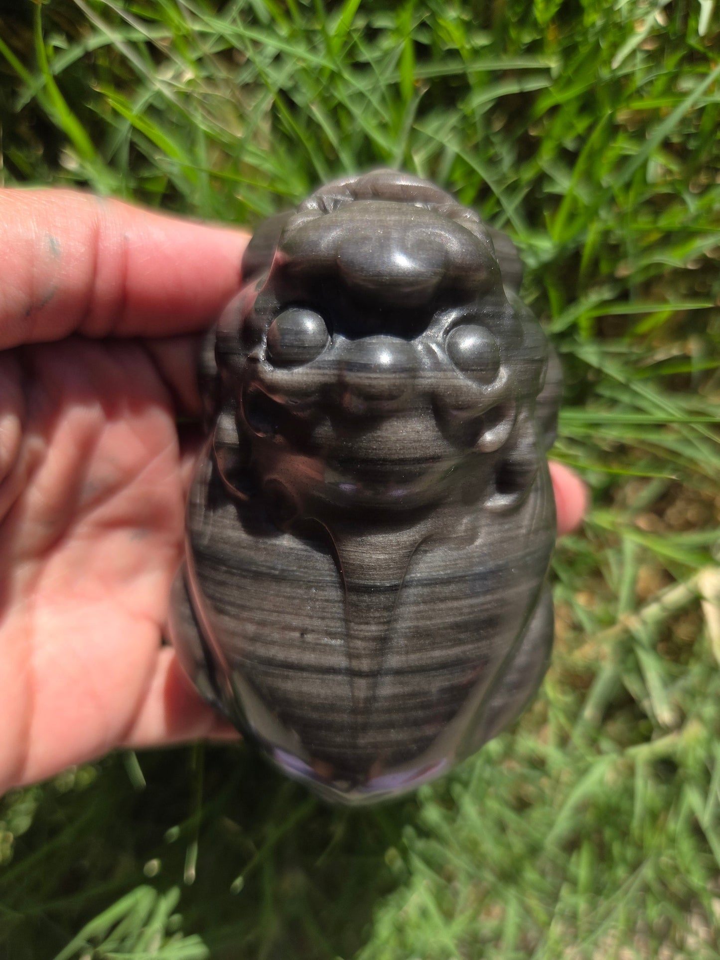 Banded Silver Sheen Obsidian Money Toad