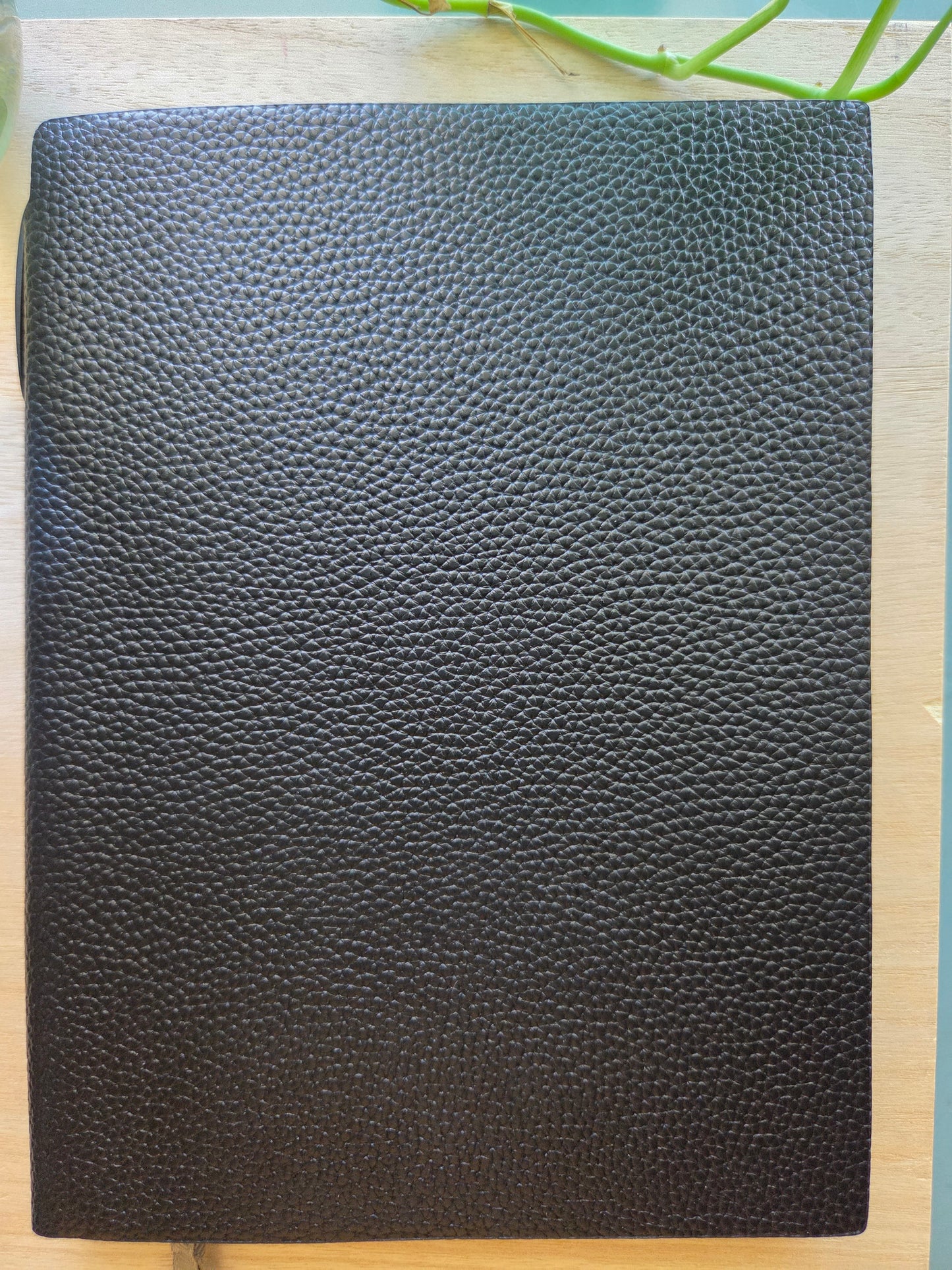 Undated Journal / Notebook and Ink Pen Set