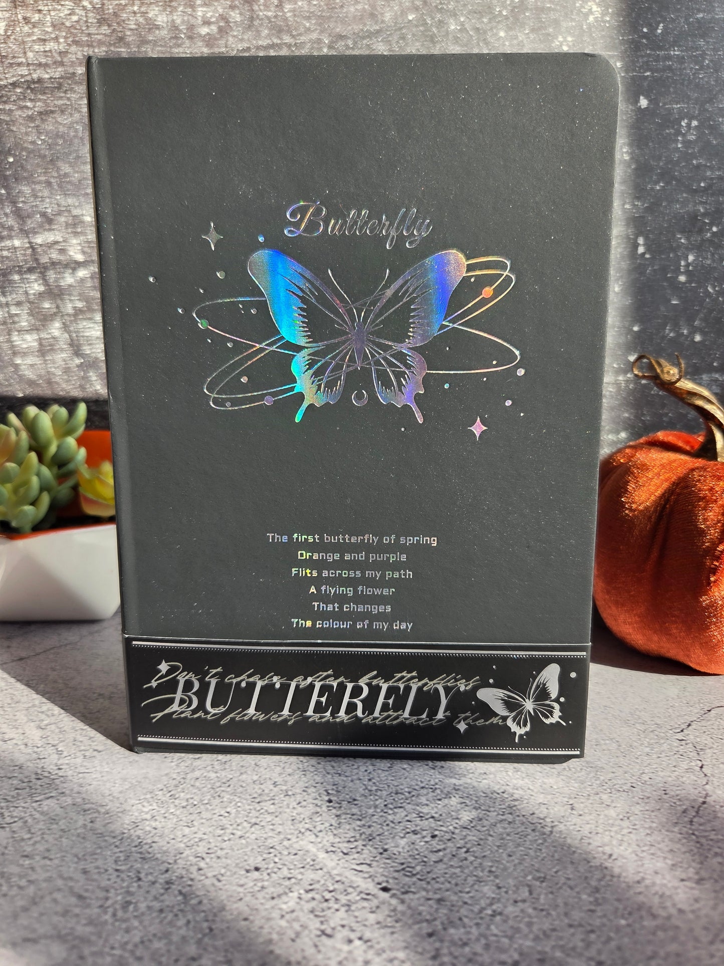 Iridescent Silver and Black Butterfly Journal